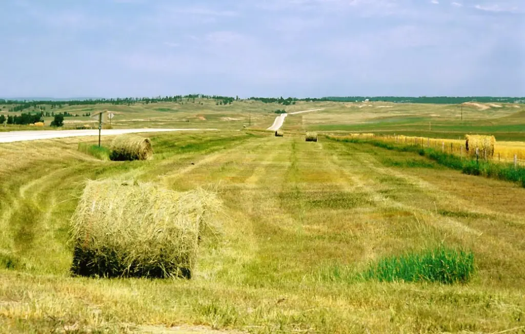 Hay bales in a field in Wyoming