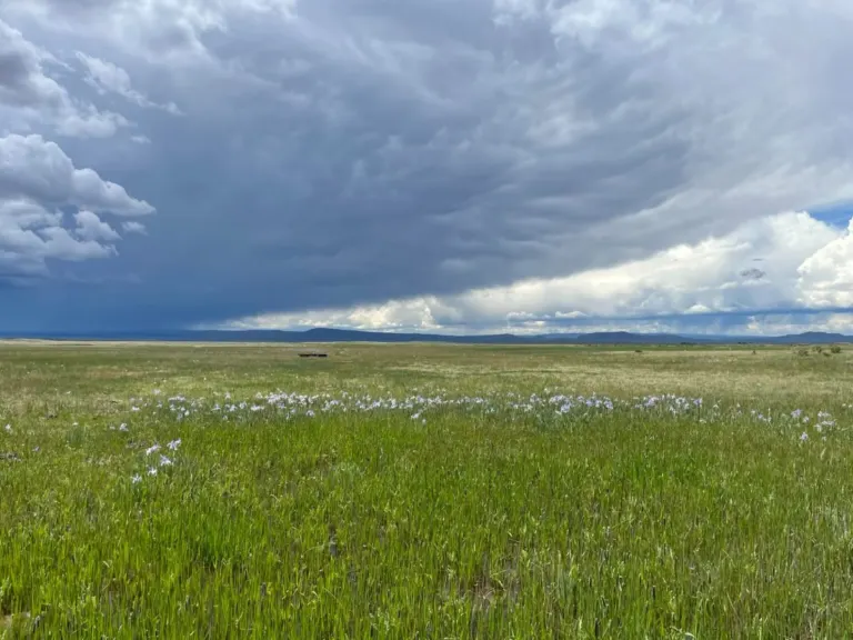Open grassland on the Laramie Plains