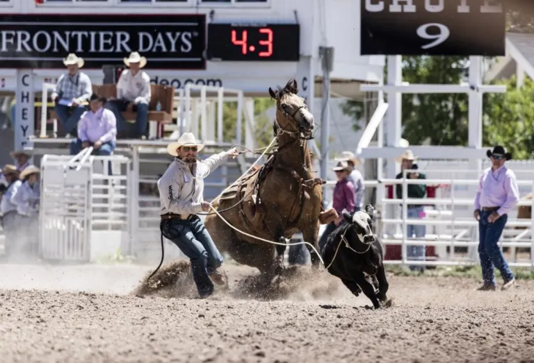 Rodeo action in the arena at Cheyenne Frontier Days